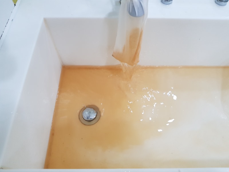 20190802_093751.jpg