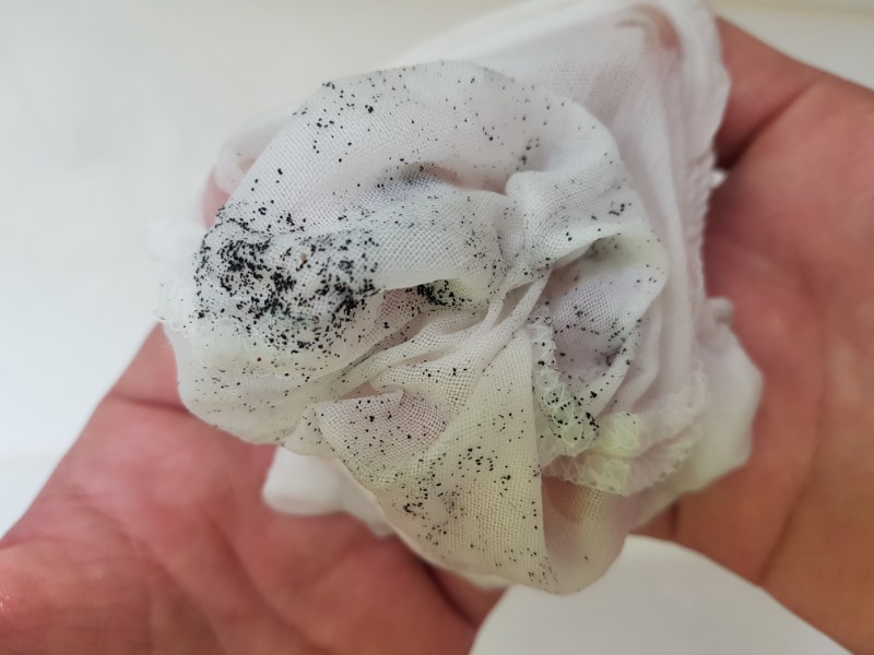 20190802_151956.jpg