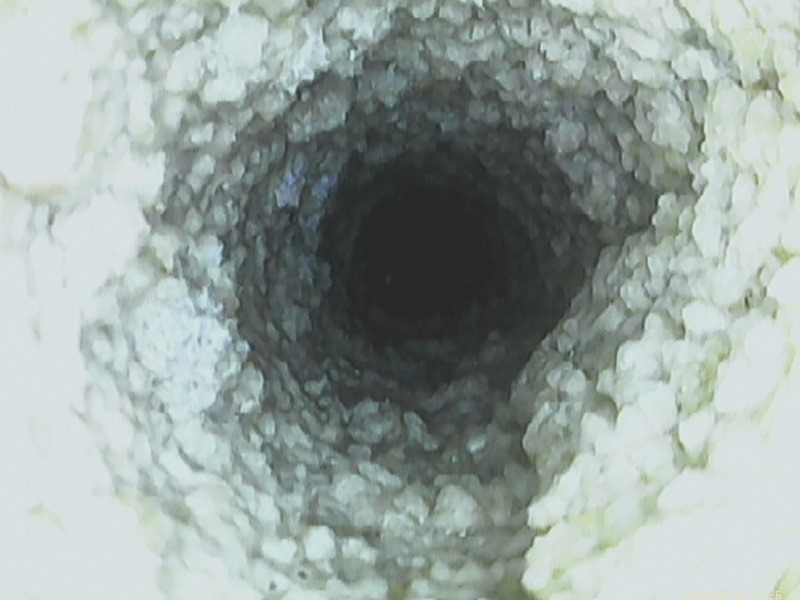 09250004.JPG