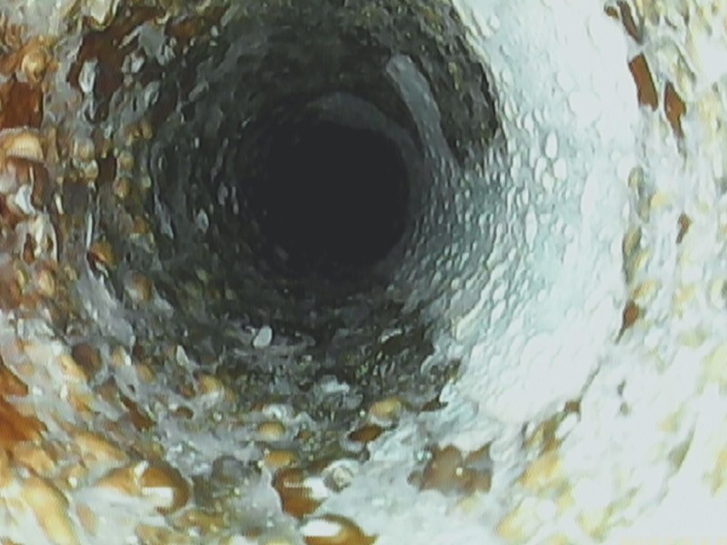 09250006.JPG