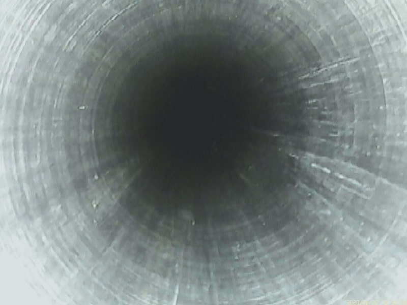 10560013.JPG