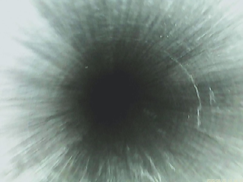 10560012.JPG