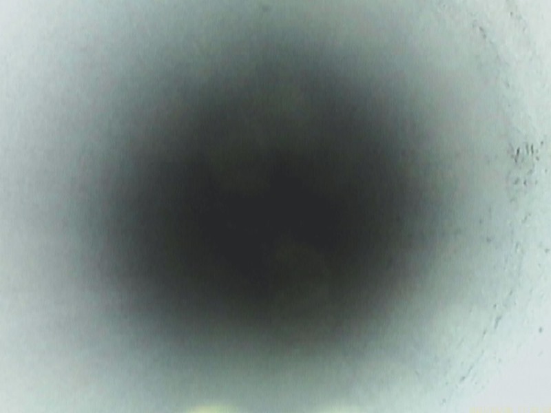 17310015.JPG